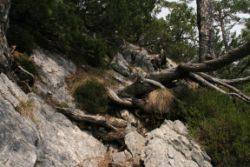 2011-04-24_Regina-F-Rau_Brunnstein-Spitze (065).JPG